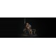 Conan the Barbarian King Conan 1/4 scale statue 53 cm